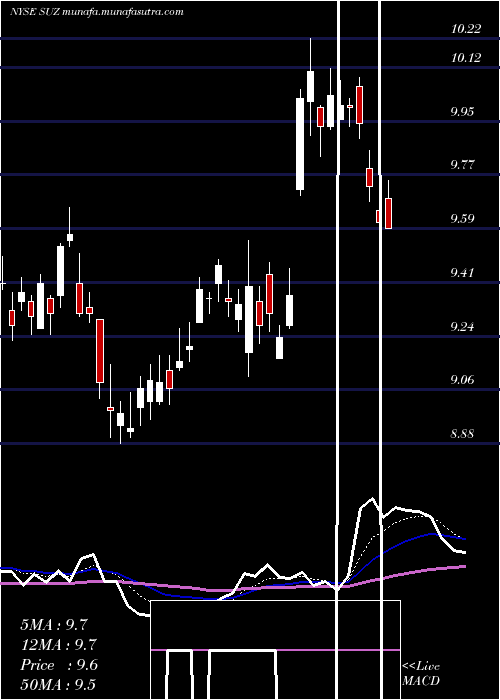 Daily chart SuzanoPapel