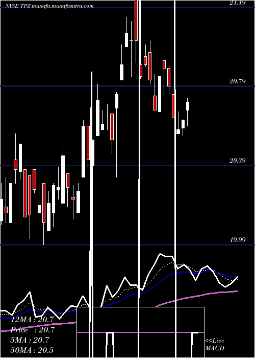  Daily chart TortoisePower