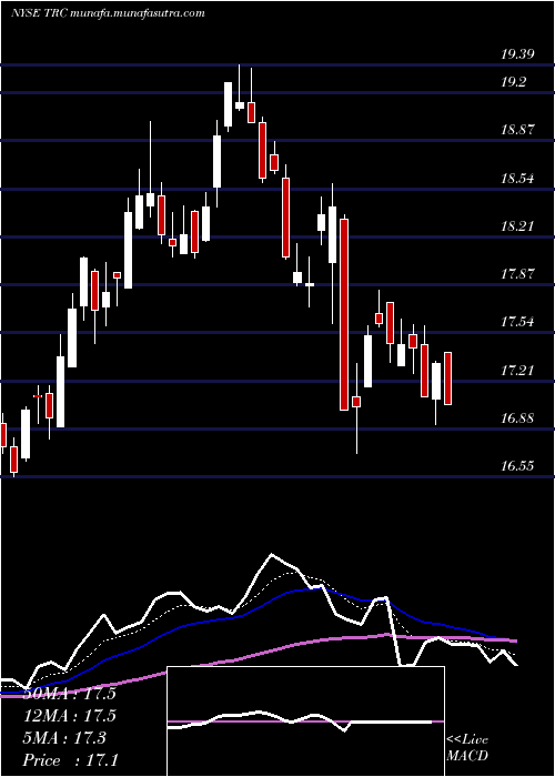  Daily chart TejonRanch