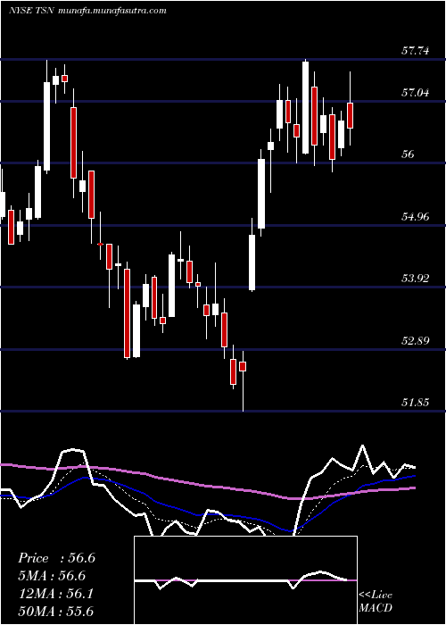  Daily chart TysonFoods