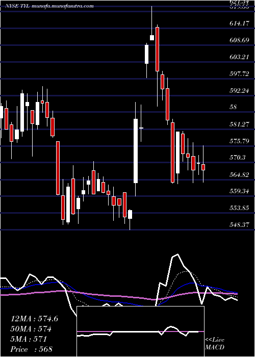  Daily chart TylerTechnologies