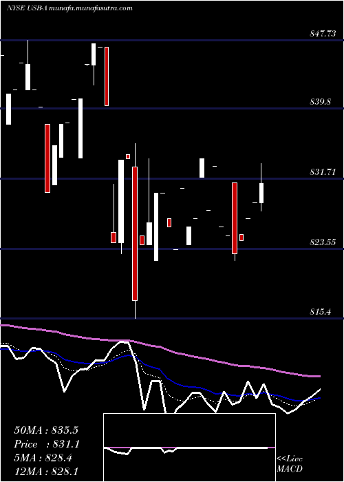  Daily chart US