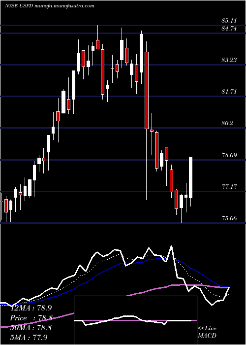  Daily chart UsFoods