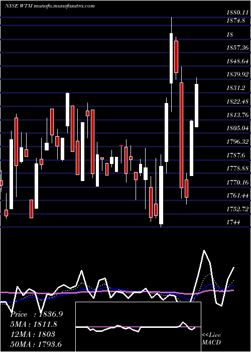  Daily chart WhiteMountains