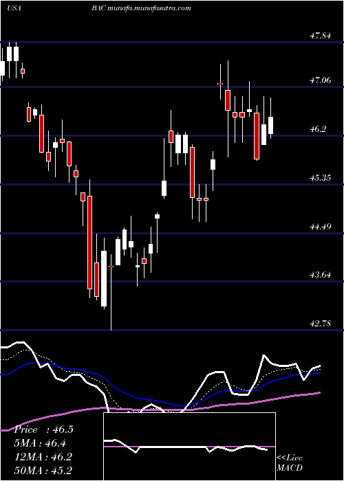  Daily chart BankAmerica