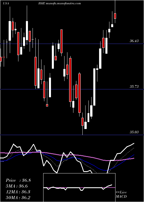  Daily chart BlackrockHealth