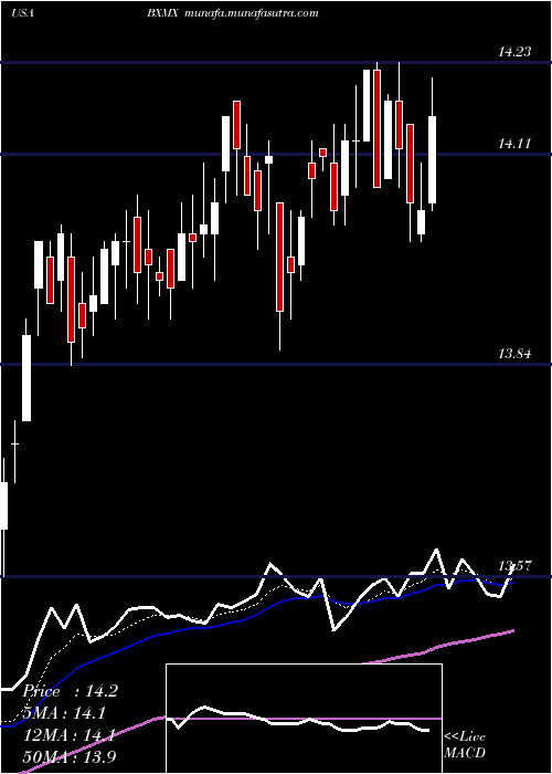  Daily chart NuveenS
