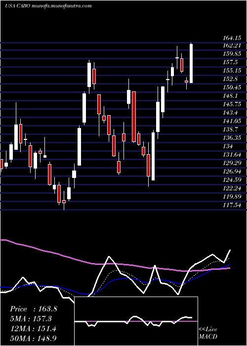  Daily chart CableOne