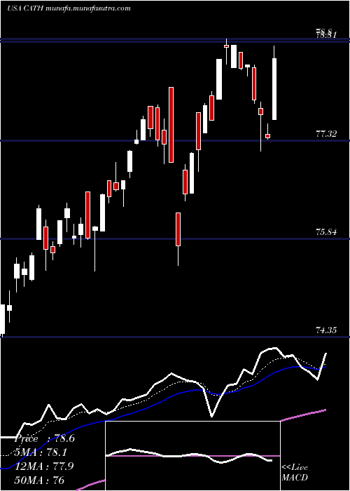  Daily chart GlobalX
