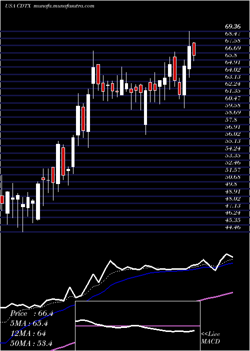  Daily chart CidaraTherapeutics