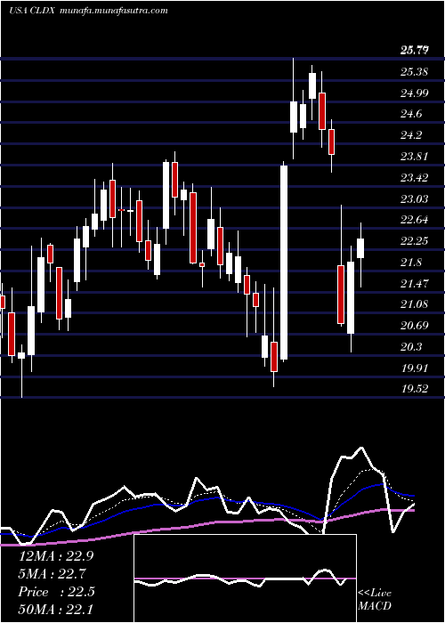  Daily chart CelldexTherapeutics