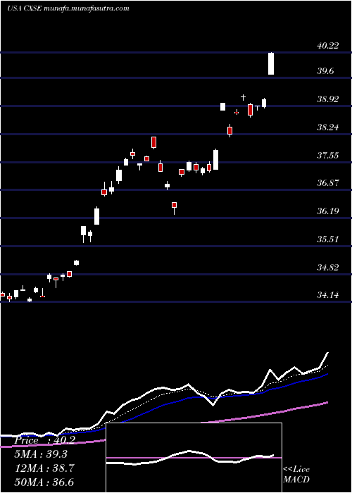  Daily chart WisdomtreeChina