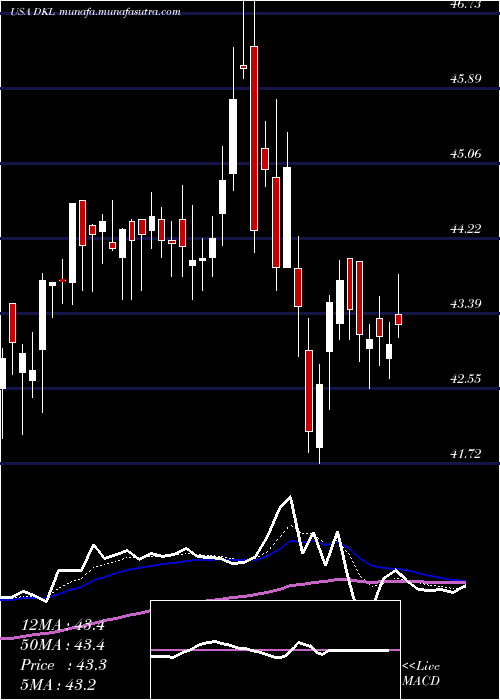  Daily chart DelekLogistics