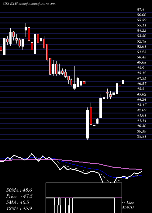  Daily chart ExactSciences
