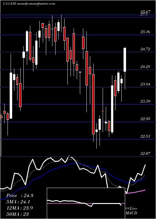  Daily chart NationalVision