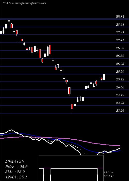  Daily chart FreseniusMedical