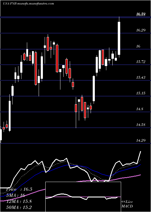 Daily chart FN