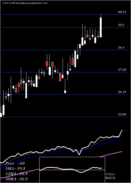  Daily chart GeneralAmerican