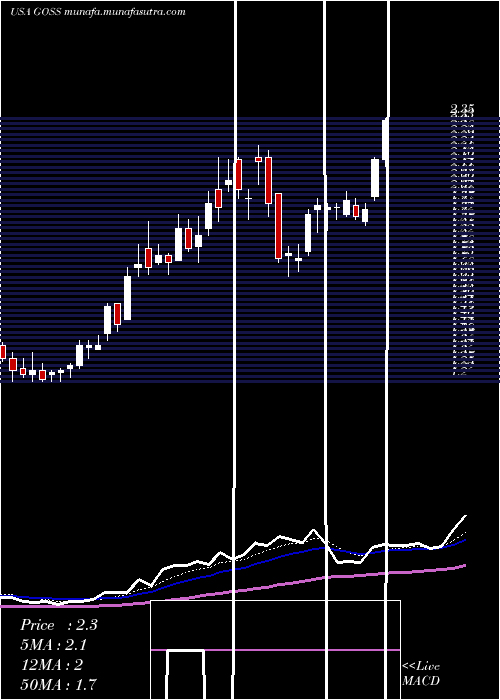  Daily chart GossamerBio