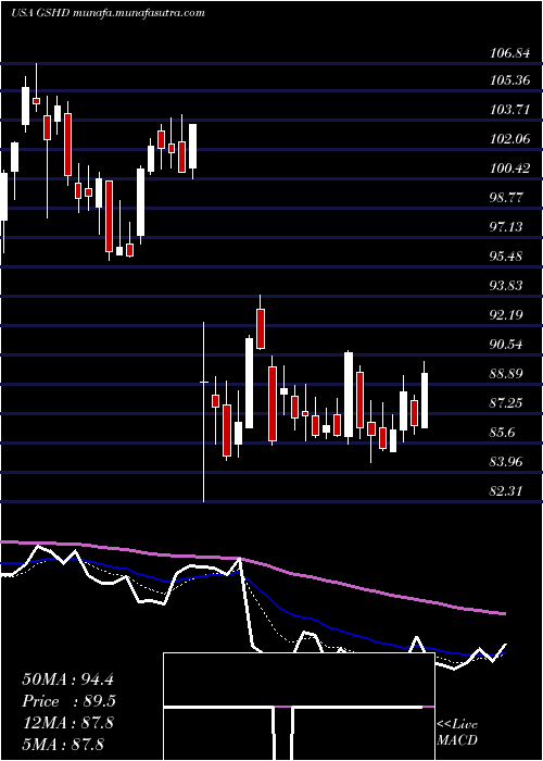  Daily chart GooseheadInsurance