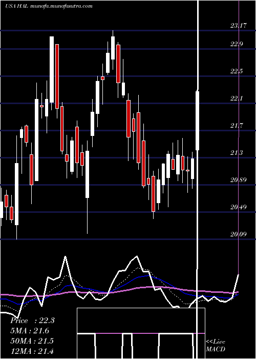  Daily chart HalliburtonCompany