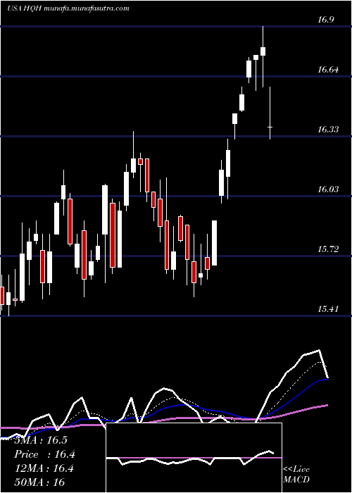  Daily chart TeklaHealthcare
