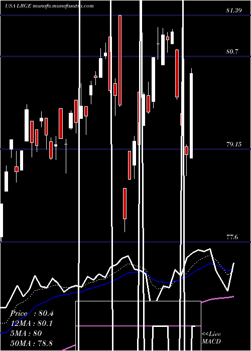  Daily chart ClearbridgeLarge
