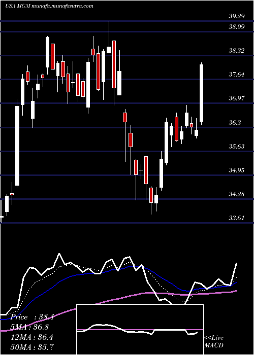  Daily chart MgmResorts