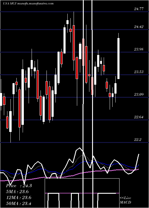  Daily chart MagnoliaOil