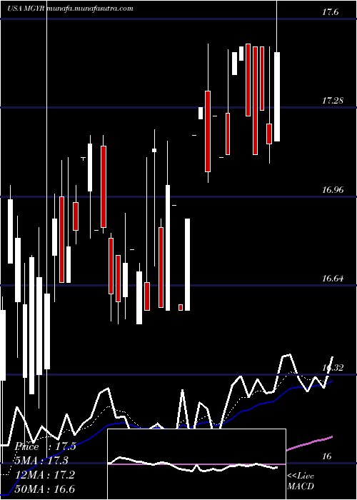  Daily chart MagyarBancorp