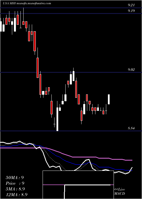  Daily chart PioneerMunicipal