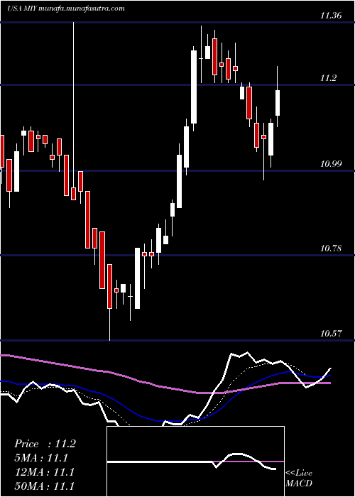  Daily chart BlackrockMuniyield