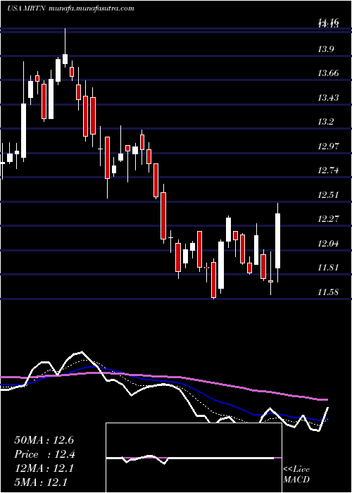  Daily chart MartenTransport