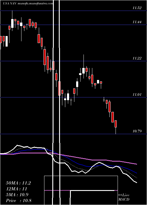  Daily chart NuveenNew