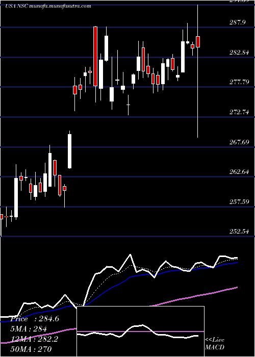  Daily chart NorfolkSouther