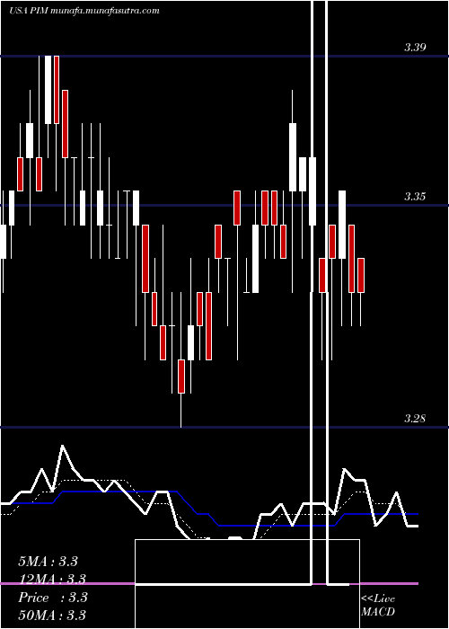  Daily chart PutnamMaster