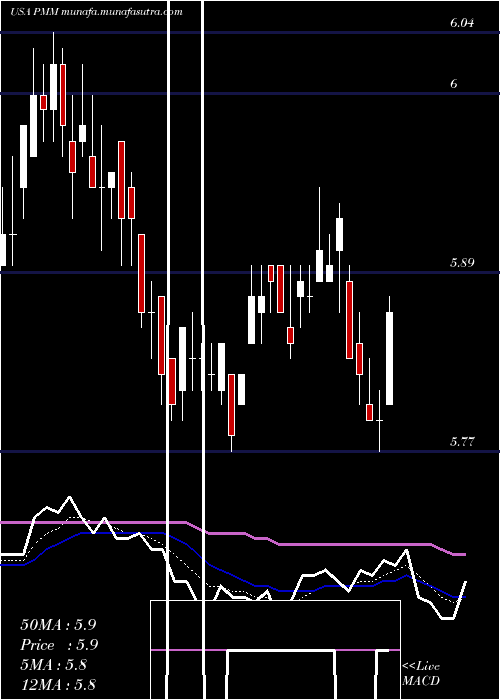  Daily chart PutnamManaged