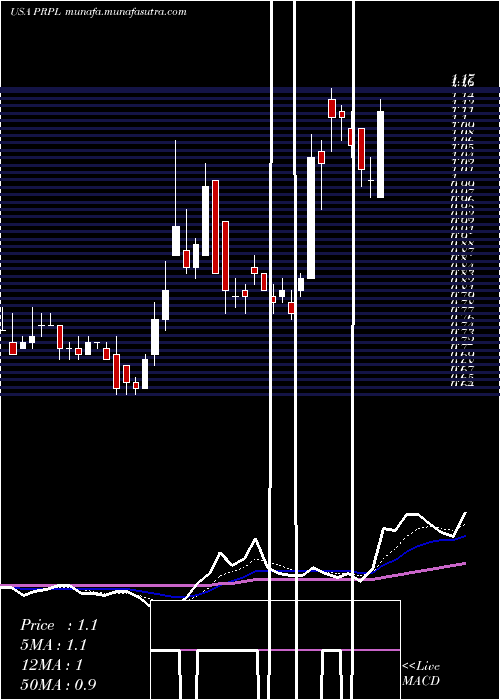  Daily chart PurpleInnovation