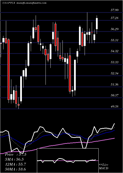  Daily chart ProtagonistTherapeutics