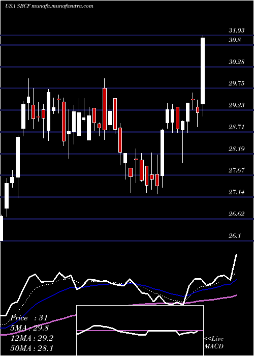  Daily chart SeacoastBanking