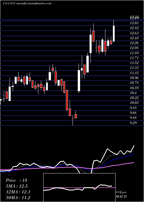  Daily chart SuperiorGroup