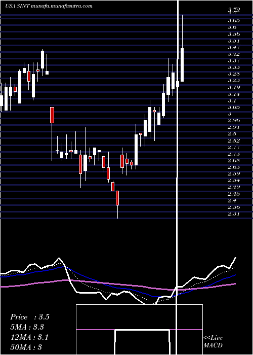  Daily chart SintxTechnologies