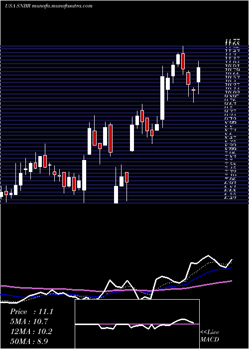  Daily chart SleepNumber