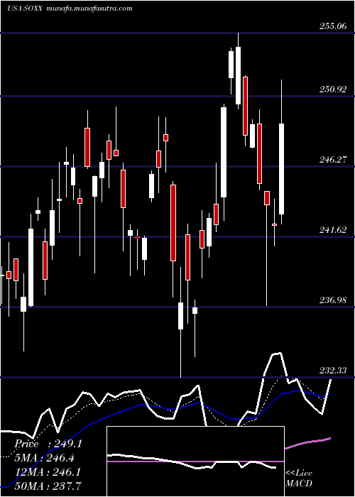  Daily chart IsharesPhlx