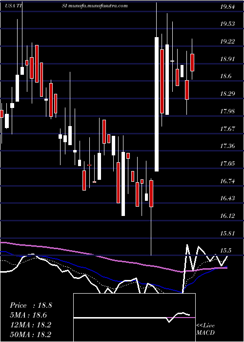  Daily chart TeamInc