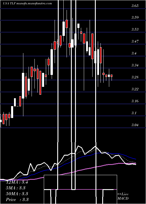  Daily chart TandyLeather