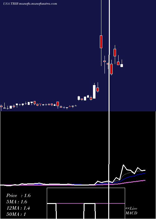  Daily chart TrinityBiotech