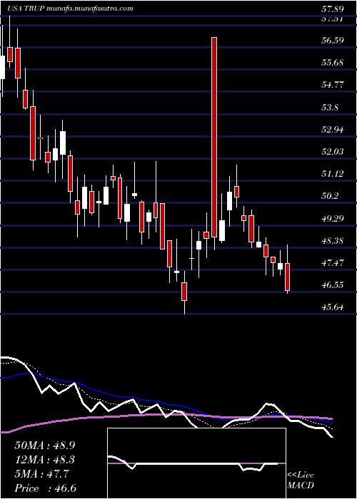  Daily chart TrupanionInc