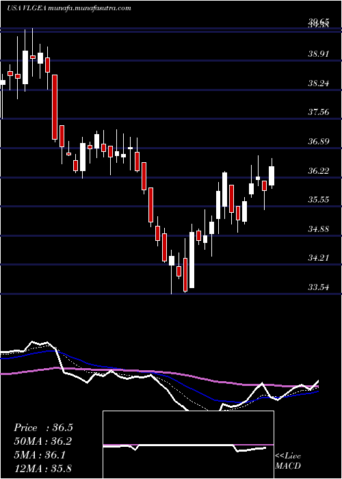  Daily chart VillageSuper
