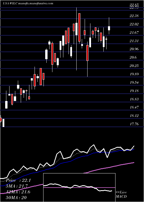  Daily chart GWilli